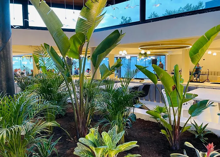 Szálloda Steaua De Mare - Olimp